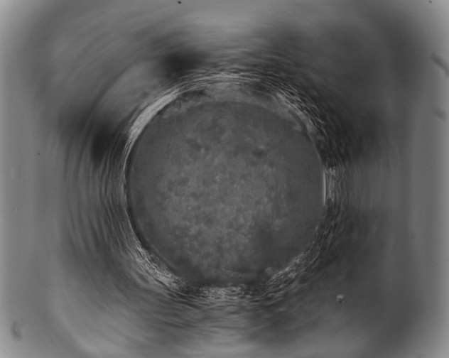 X0000101110147200806261420