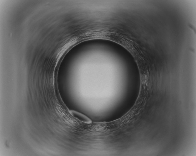 X0000101110148200806261420