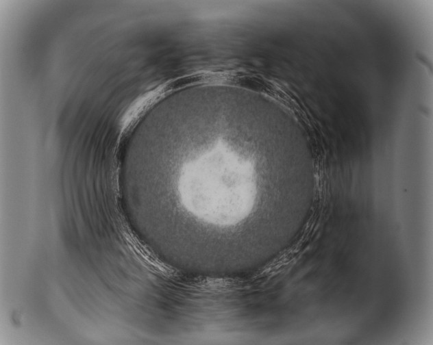 X0000101110149200806261420