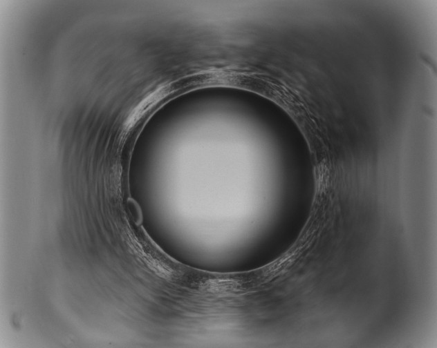 X0000101110150200806261420