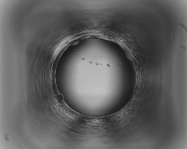 X0000101110151200806261420