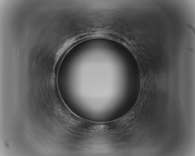 X0000101110152200806261420