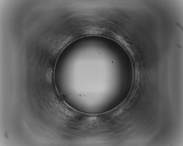X0000101110153200806261420