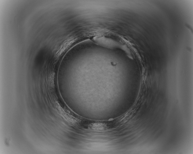 X0000101110154200806261420