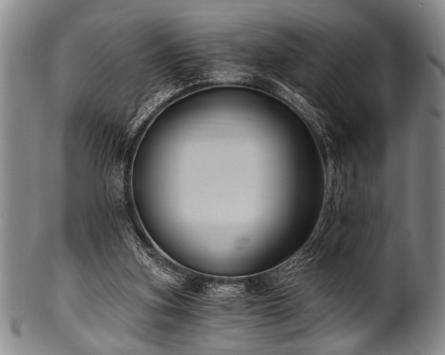 X0000101110155200806261420