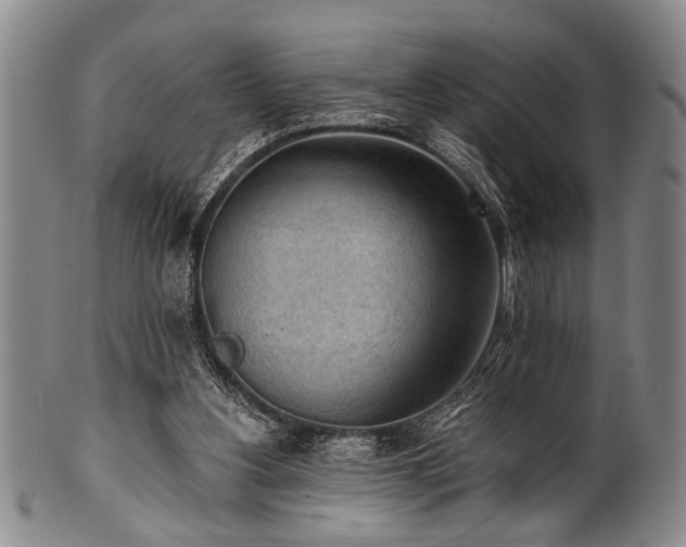 X0000101110156200806261420