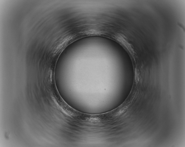 X0000101110157200806261421