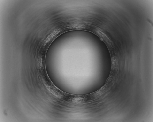 X0000101110158200806261421