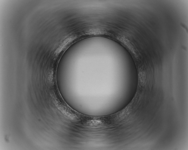 X0000101110159200806261421