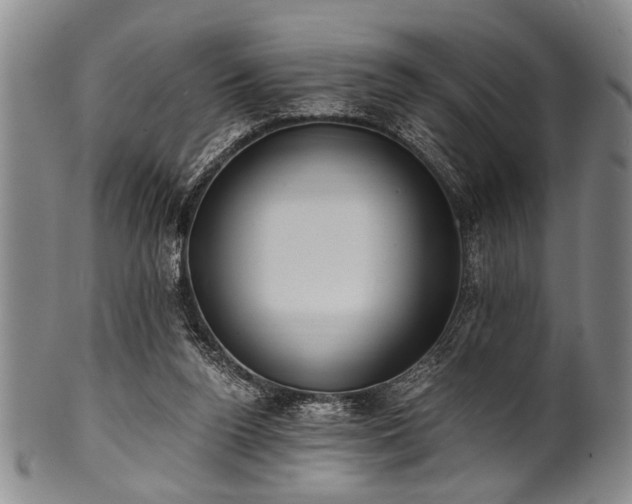 X0000101110160200806261421
