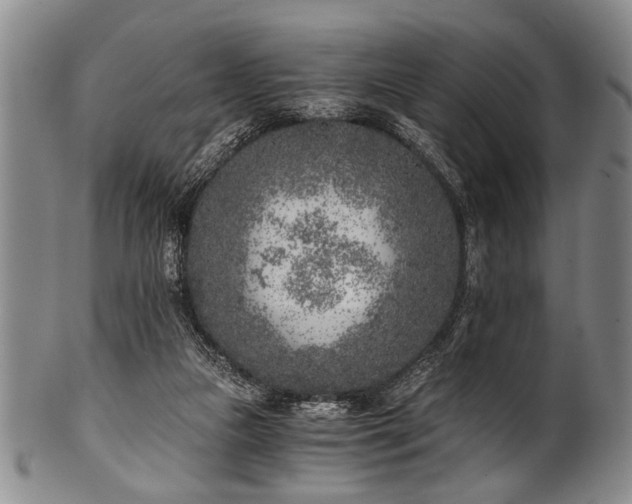 X0000101110161200806261421