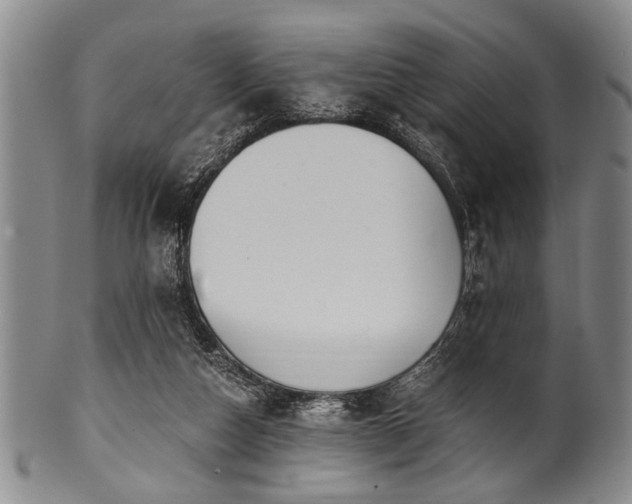 X0000101110162200806261421