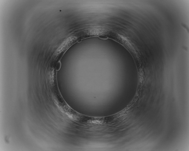 X0000101110163200806261421