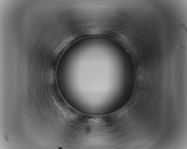 X0000101110164200806261421