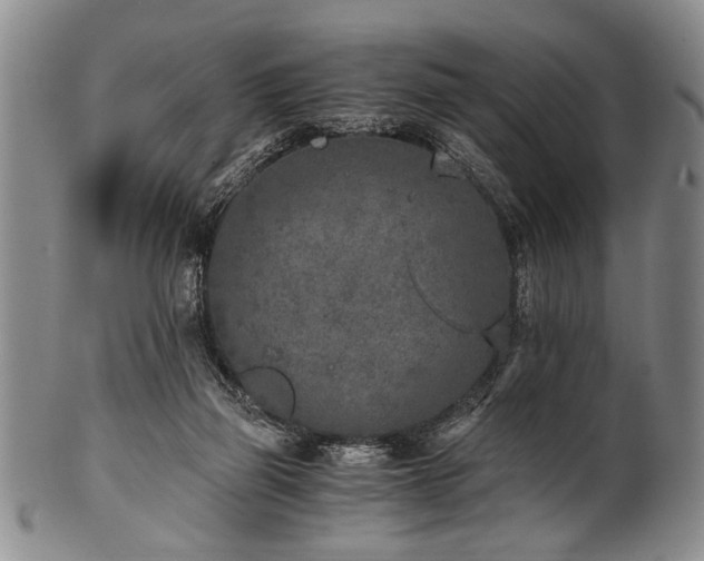 X0000101110165200806261421