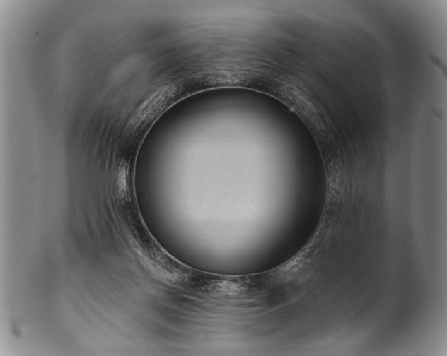 X0000101110166200806261421