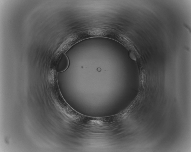 X0000101110167200806261421