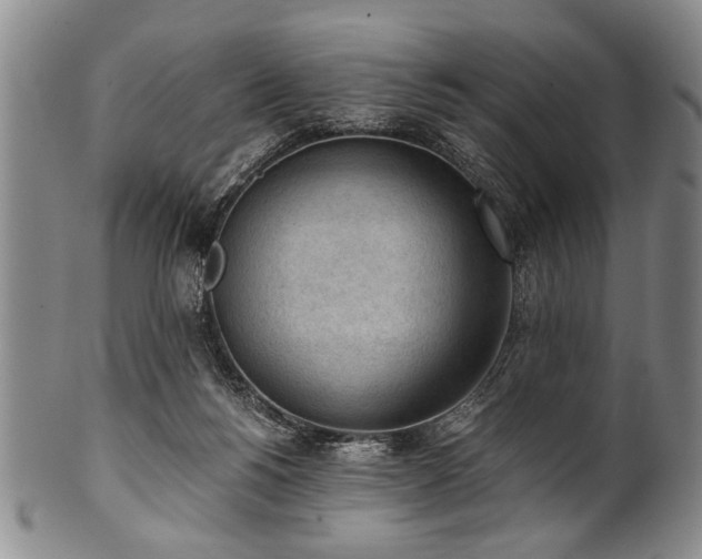 X0000101110168200806261421