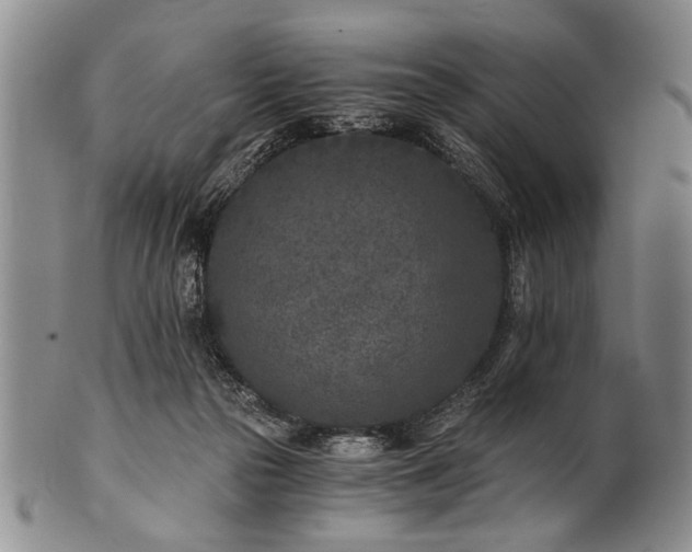 X0000101110169200806261421