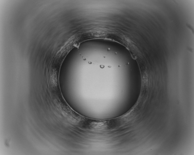 X0000101110170200806261421