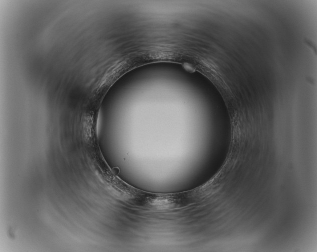 X0000101110171200806261421