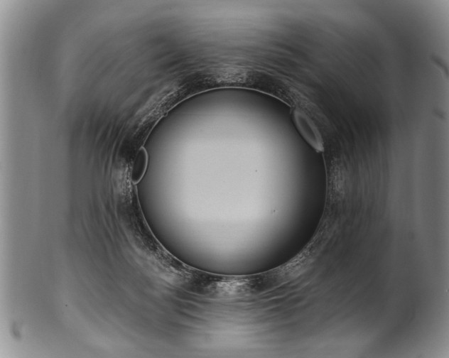 X0000101110172200806261421