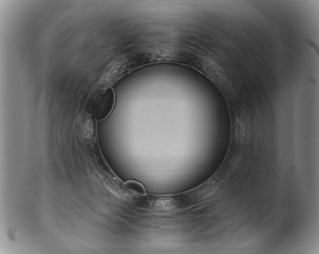 X0000101110173200806261421