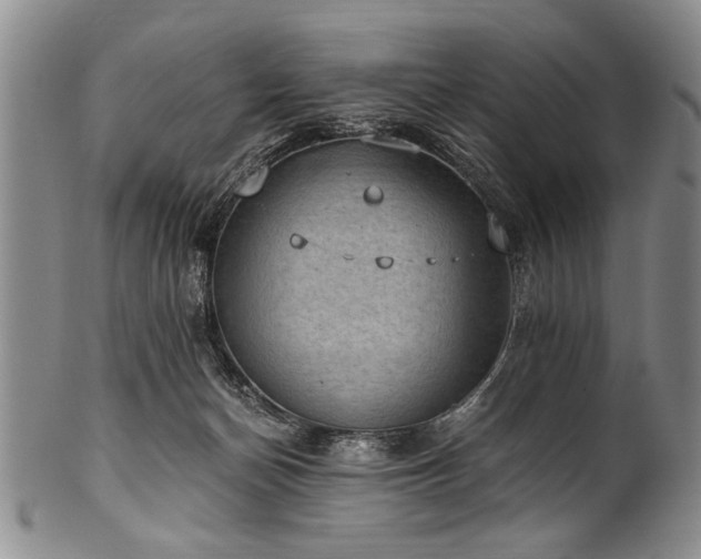 X0000101110174200806261421