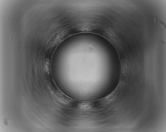 X0000101110175200806261421