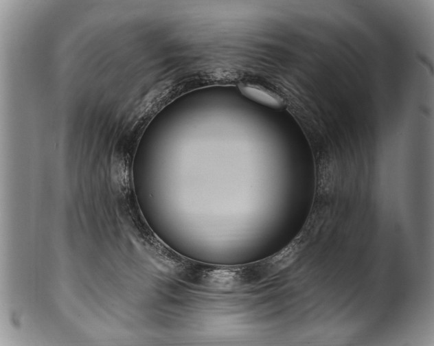 X0000101110176200806261421