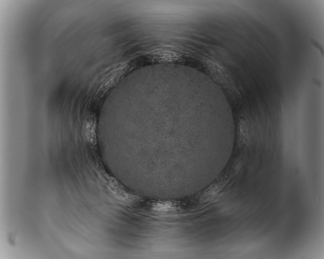 X0000101110177200806261421