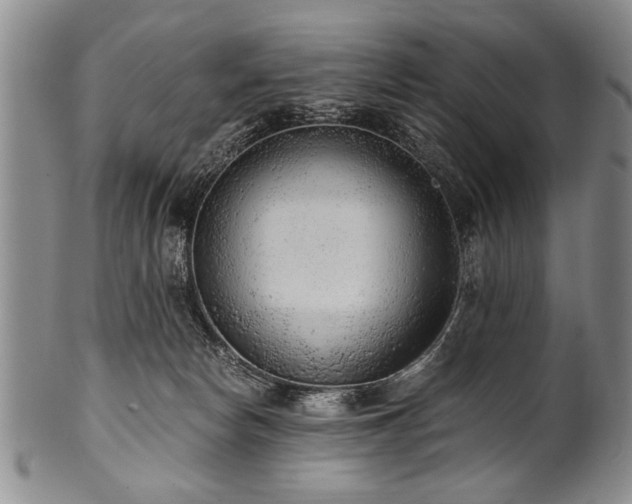 X0000101110178200806261421