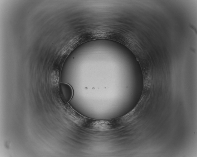X0000101110179200806261421