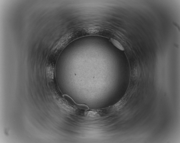 X0000101110180200806261421