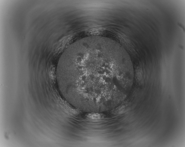 X0000101110181200806261421