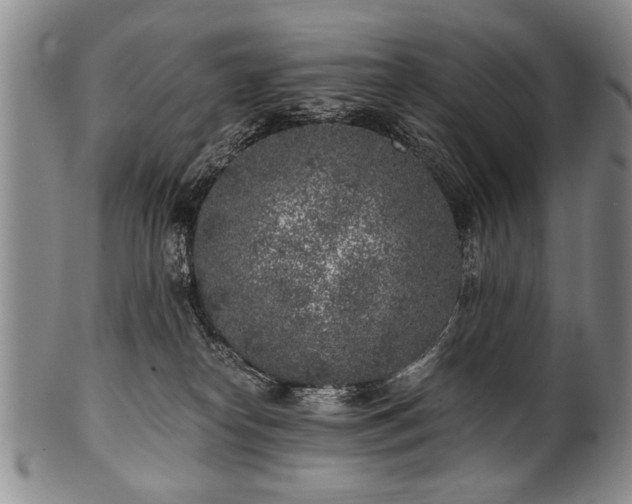 X0000101110182200806261421