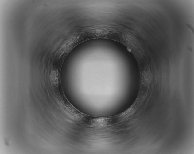X0000101110184200806261421