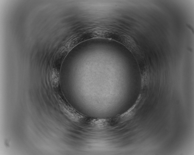 X0000101110186200806261421