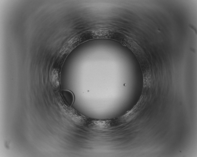 X0000101110187200806261421