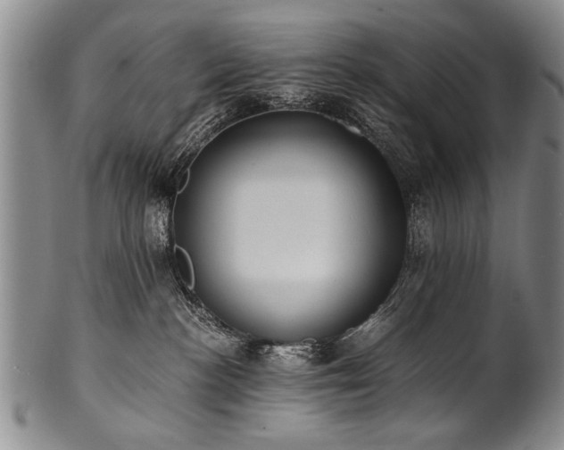 X0000101110188200806261421