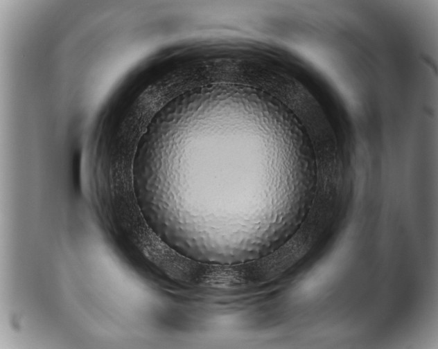 X0000101110189200806261421