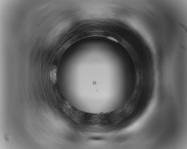 X0000101110190200806261421