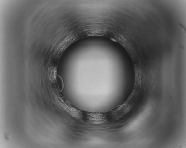 X0000101110191200806261421