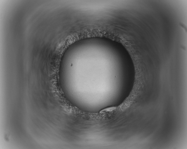 X0000101110192200806261421