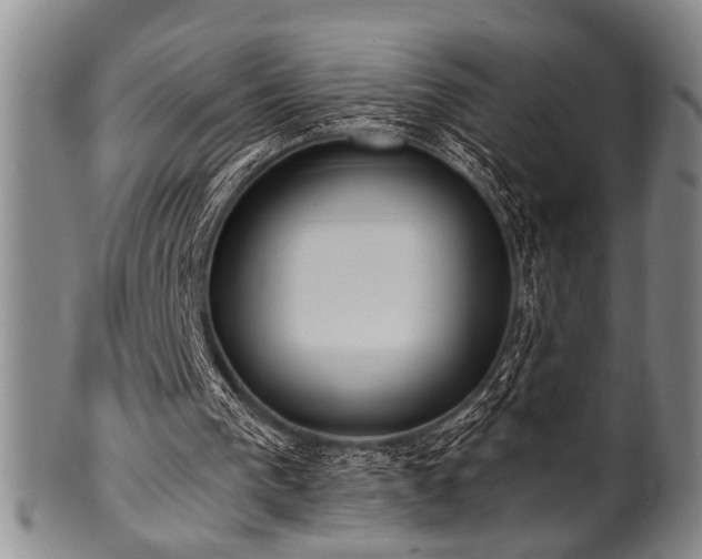 X0000101110193200806261420