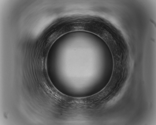X0000101110194200806261420