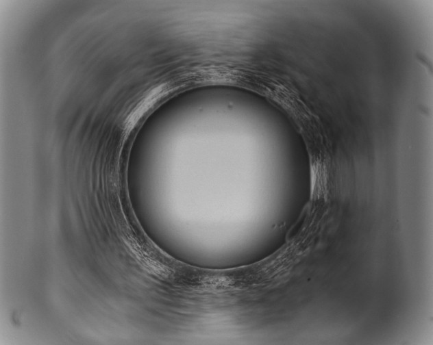 X0000101110195200806261420