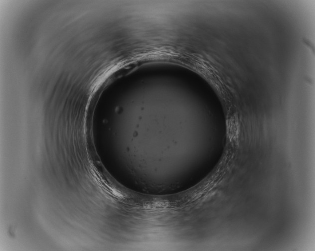 X0000101110196200806261420