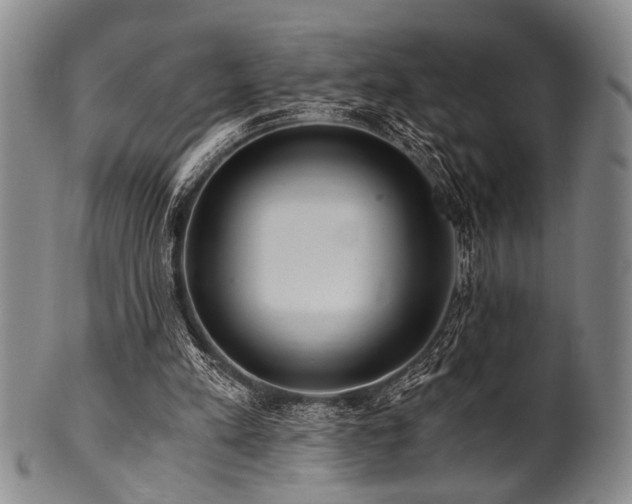 X0000101110197200806261420