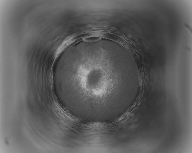 X0000101110198200806261420